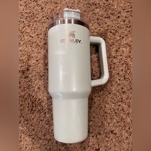 Stanley Mint Colored 40oz tumbler